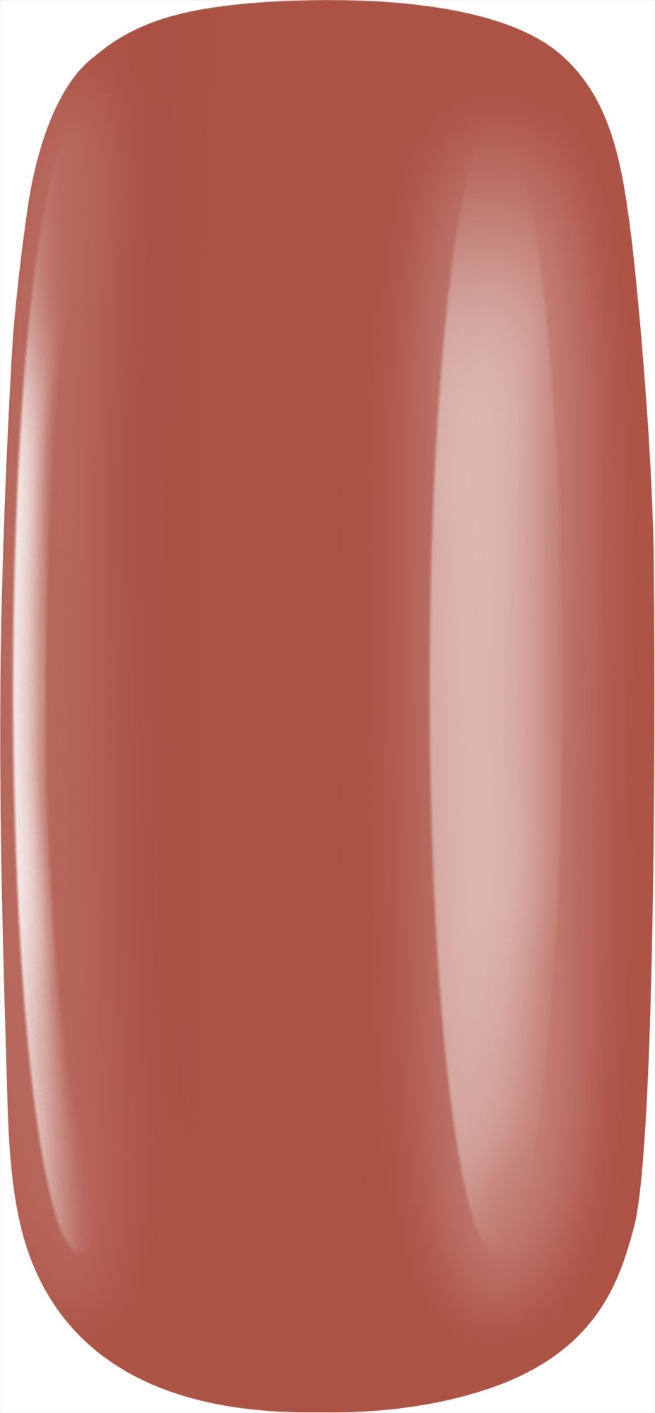 310
