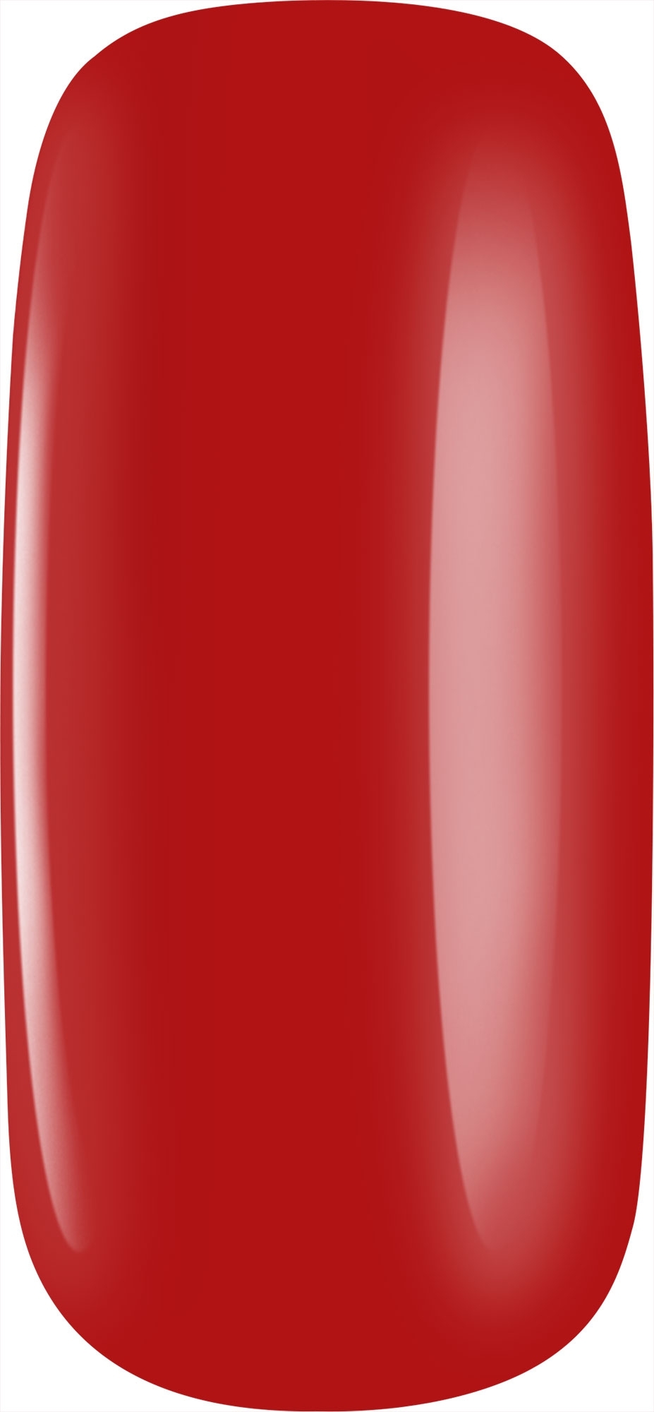 51