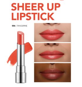 Flormar Sheer Up Lipstick Flormar Sheer Up Lipstick