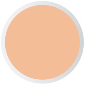 Pastel Profashion Liquid Concealer Pastel Profashion Liquid Concealer