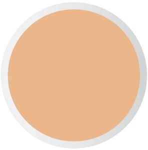 Pastel Profashion Liquid Concealer Pastel Profashion Liquid Concealer